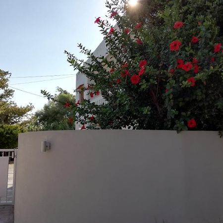 Dimitris' & Valentina'S Home Plakias Dış mekan fotoğraf