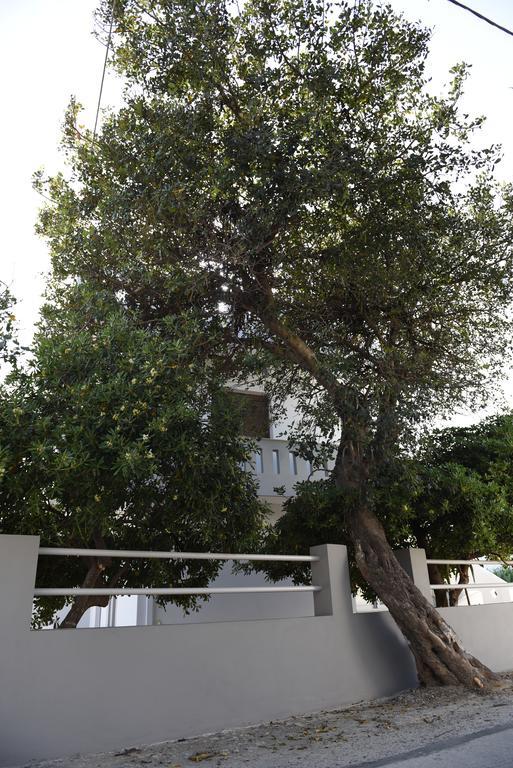 Dimitris' & Valentina'S Home Plakias Dış mekan fotoğraf
