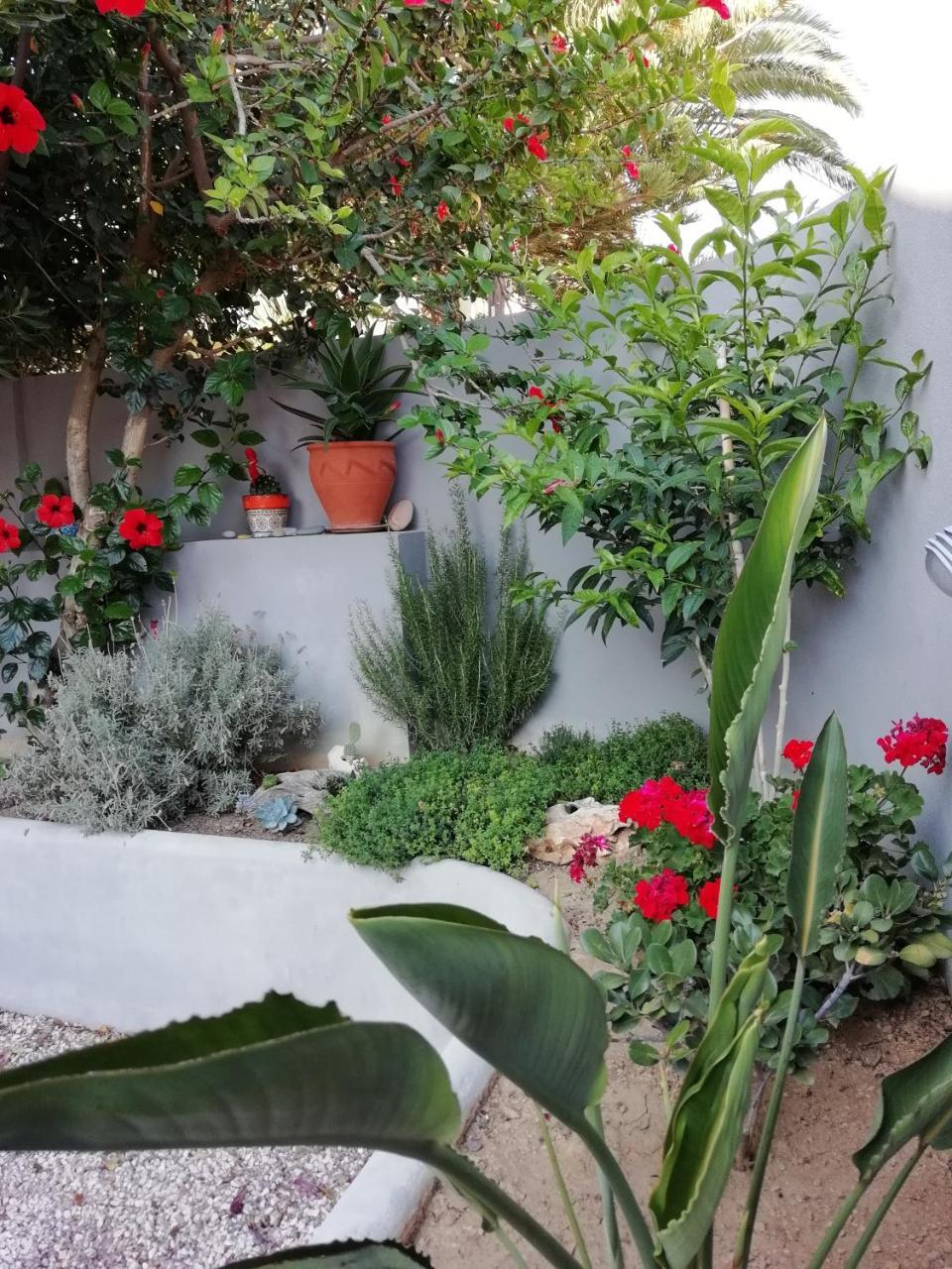 Dimitris' & Valentina'S Home Plakias Dış mekan fotoğraf