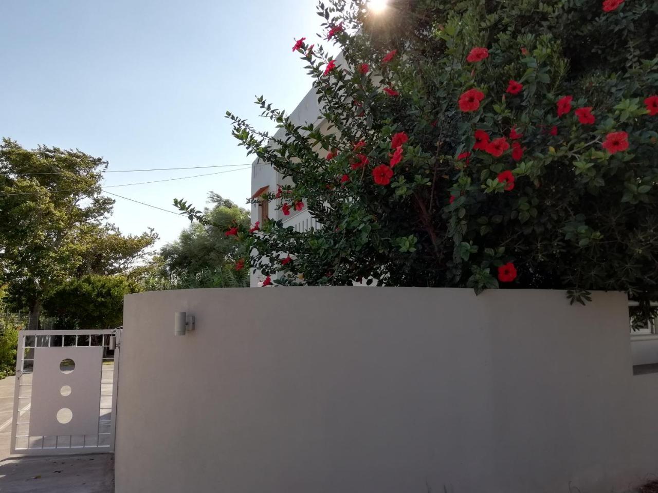 Dimitris' & Valentina'S Home Plakias Dış mekan fotoğraf